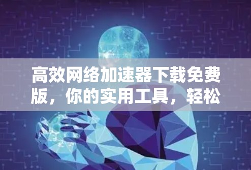 高效网络加速器下载免费版，你的实用工具，轻松提升网络速度
