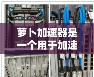 萝卜加速器是一个用于加速下载和安装软件的工具。如果你正在寻找最新的免费版，通常会发现它仍然提供免费功能。以下是使用免费版萝卜加速器的步骤