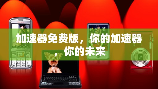加速器免费版,你的加速器,你的未来