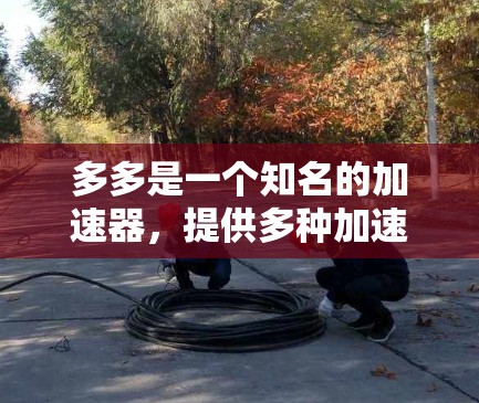 多多是一个知名的加速器，提供多种加速功能，包括视频加速、文件加速和音乐加速等。虽然多多本身是付费版本，但它提供了免费的加速器和一些高级功能，例如自动推荐和个性化推荐。以下是一些免费的加速器，供您参考