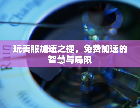 玩美服加速之捷,免费加速的智慧与局限