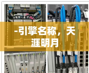 -引擎名称,天涯明月 -引擎名称,天涯明月
