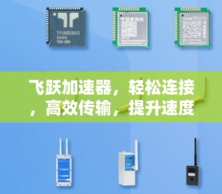飞跃加速器，轻松连接，高效传输，提升速度！