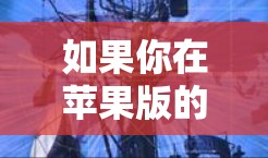 如果你在苹果版的鹰眼加速器中遇到了任何问题或限制，建议您检查以下信息