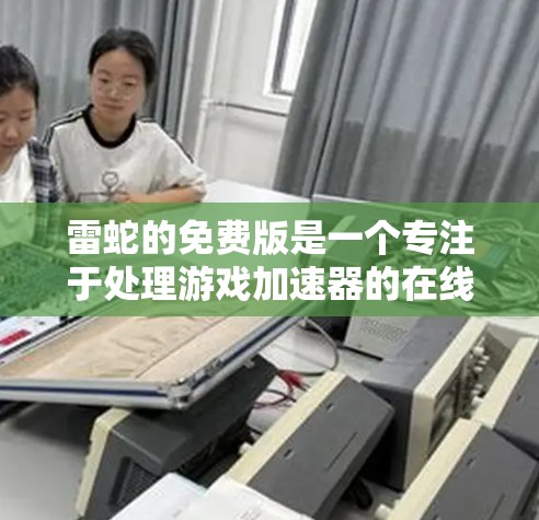 雷蛇的免费版是一个专注于处理游戏加速器的在线服务，提供快速的加速功能，但其使用体验和安全性存在一定的挑战。以下是对该服务的总结