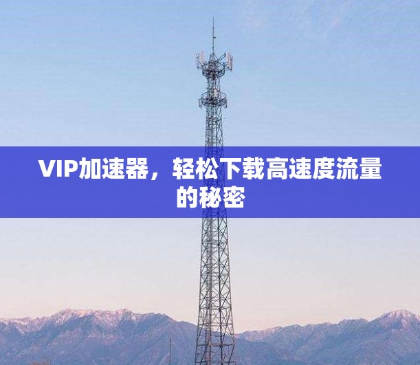 VIP加速器，轻松下载高速度流量的秘密