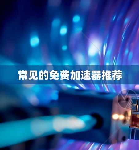 常见的免费加速器推荐