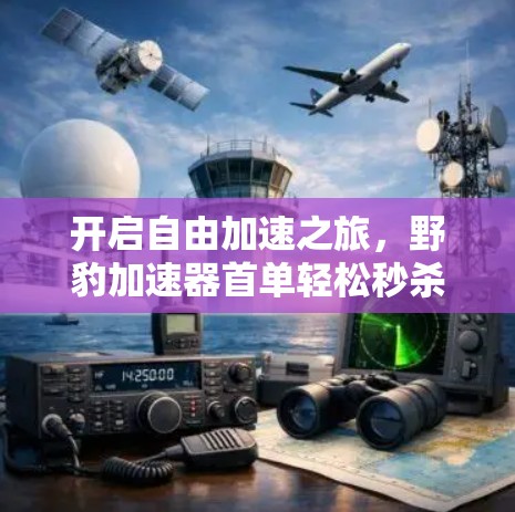 开启自由加速之旅，野豹加速器首单轻松秒杀