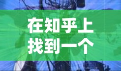 在知乎上找到一个永久免费的加速器,通常是因为用户对内容优化和SEO优化的需要较高,希望快速提升内容排名和获得高质量内容。以下是对这种加速器需求的详细分析和建议