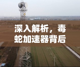 深入解析,毒蛇加速器背后的隐藏危险