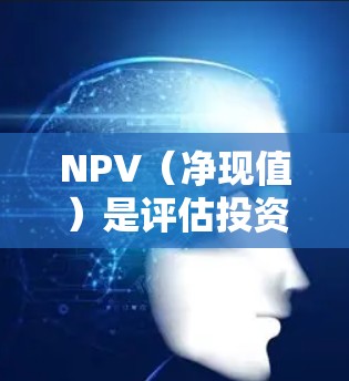 NPV(净现值)是评估投资或项目经济可行性的重要指标。它通过将未来现金流量按时间价值(即时间的货币价值)折现,计算出项目在特定条件下(如资本成本)的现值,然后减去初始投资,得出净现值 NPV(净现值)是评估投资或项目经济可行性的重要指标。它通过将未来现金流量按时间价值(即时间的货币价值)折现,计算出项目在特定条件下(如资本成本)的现值,然后减去初始投资,得出净现值