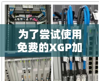 为了尝试使用免费的XGP加速器，您可以按照以下步骤进行