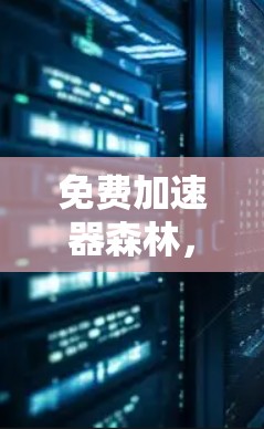 免费加速器森林，让网络连接更顺畅