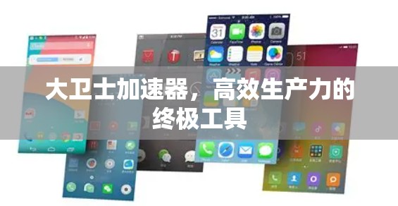 大卫士加速器，高效生产力的终极工具