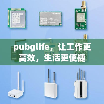 pubglife,让工作更高效,生活更便捷