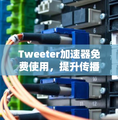 Tweeter加速器免费使用，提升传播率的高效方法
