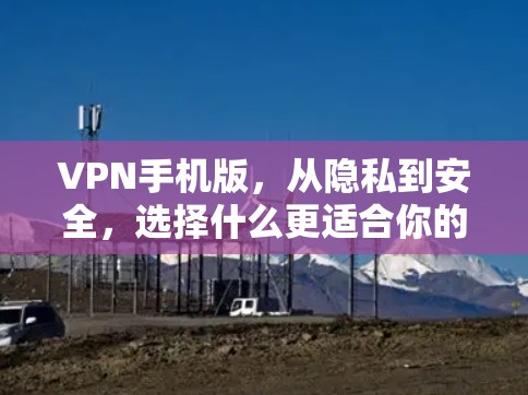 VPN手机版，从隐私到安全，选择什么更适合你的需求？