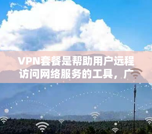 VPN套餐是帮助用户远程访问网络服务的工具，广泛应用于Web、移动应用、云服务等领域。以下是关于VPN套餐的详细介绍