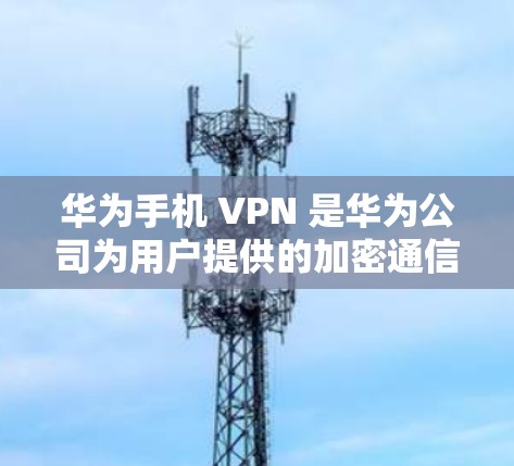 华为手机 VPN 是华为公司为用户提供的加密通信服务，旨在通过高速、安全的网络连接提供端到端加密的通信功能。以下是关于华为手机 VPN 的详细介绍